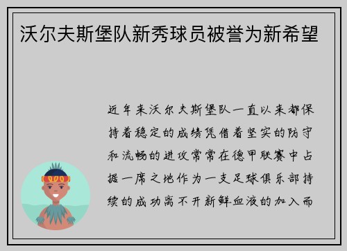 沃尔夫斯堡队新秀球员被誉为新希望