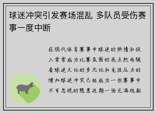 球迷冲突引发赛场混乱 多队员受伤赛事一度中断